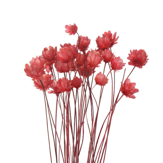 Juego de Flores Artificiales para Decoración de Primavera - Image 20