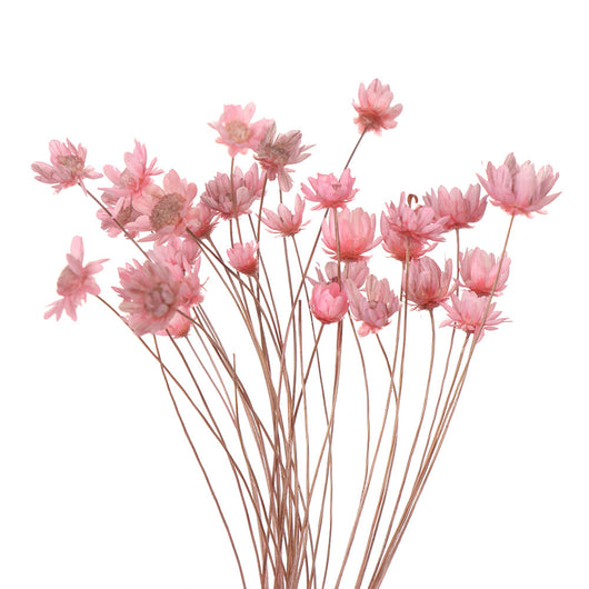 Juego de Flores Artificiales para Decoración de Primavera - Image 21
