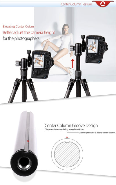 Cabezal Trípode Monópode Desmontable con Soporte Universal - Image 17