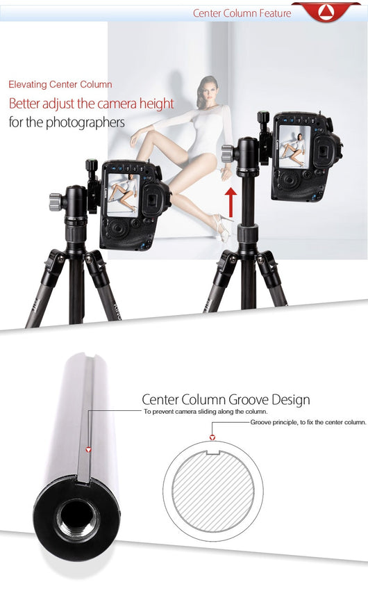 Cabezal Trípode Monópode Desmontable con Soporte Universal - Image 17