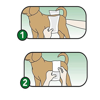 Pañales Fisiológicos para Perros Grandes - Image 11