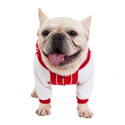 Ropa para Perros Bulldog - Abrigos y Accesorios Cómodos - Image 7