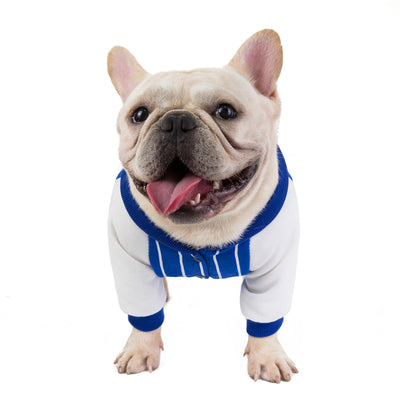Ropa para Perros Bulldog - Abrigos y Accesorios Cómodos - Image 8