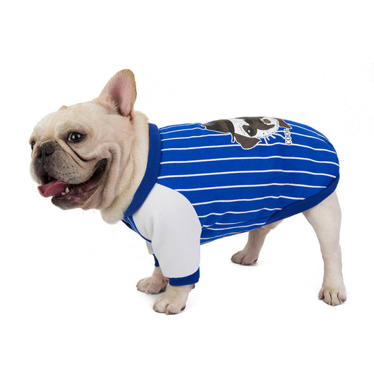 Ropa para Perros Bulldog - Abrigos y Accesorios Cómodos - Image 9