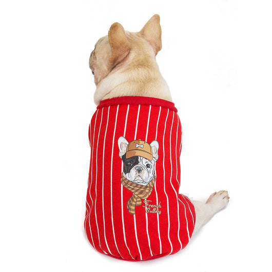Ropa para Perros Bulldog - Abrigos y Accesorios Cómodos - Image 10