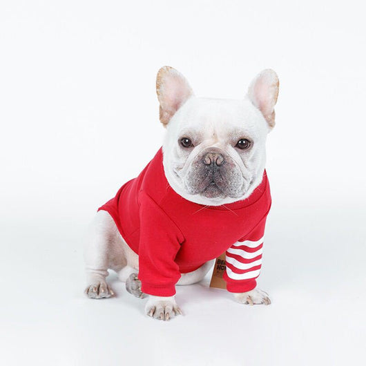 Suéter Abrigador para Perros - Image 12