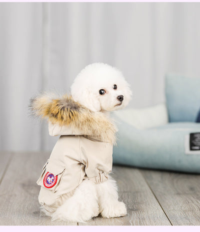 Ropa y Gorro de Lana para Perros - Abrigo de Algodón - Image 5