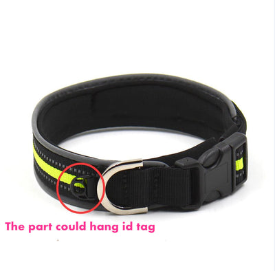 Collar Reflectante Ajustable con Velcro - Image 8