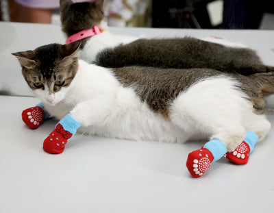Calcetines Cálidos de Algodón para Mascotas - Comodidad y Amor - Image 17