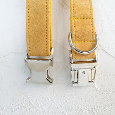 Collar Ajustable para Perro - Image 9
