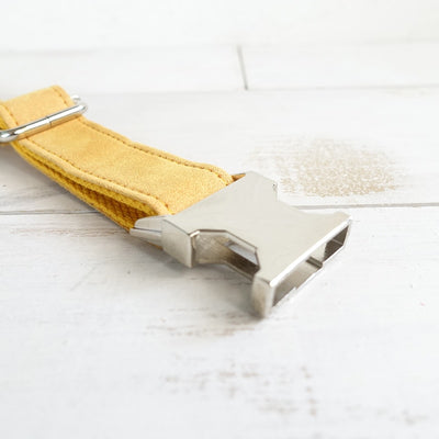 Collar Ajustable para Perro - Image 11