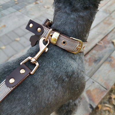 Arnés Pectoral para Perros Teddy - Collar Seguro y Cómodo - Image 16