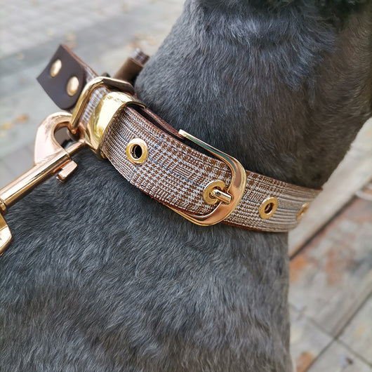 Arnés Pectoral para Perros Teddy - Collar Seguro y Cómodo - Image 17