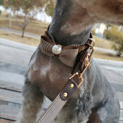Arnés Pectoral para Perros Teddy - Collar Seguro y Cómodo - Image 18