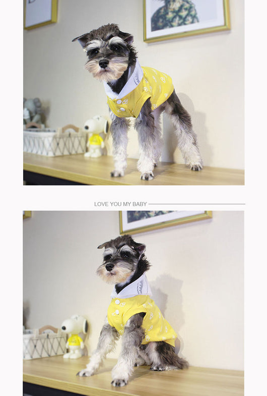 Ropa para Cachorros - Image 9