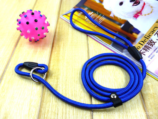 Correa de Paseo Premium para Perros Pequeños con Arnés Integrado - Image 6