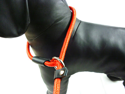 Correa de Paseo Premium para Perros Pequeños con Arnés Integrado - Image 7