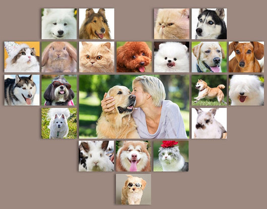 Cortadora de Pelaje para Mascotas - Image 11