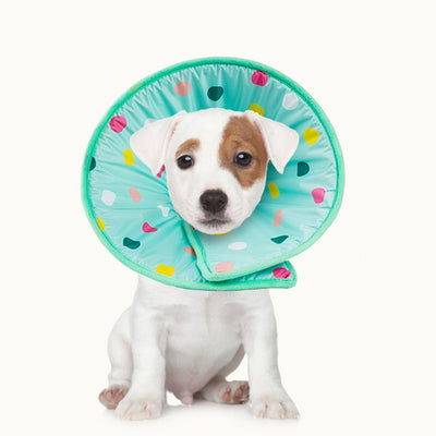 Anillo Protector Anti Lamido y Arañazo para Mascotas - Image 8