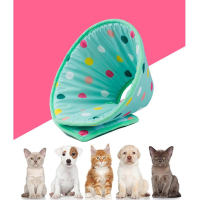 Anillo Protector Anti Lamido y Arañazo para Mascotas - Image 11