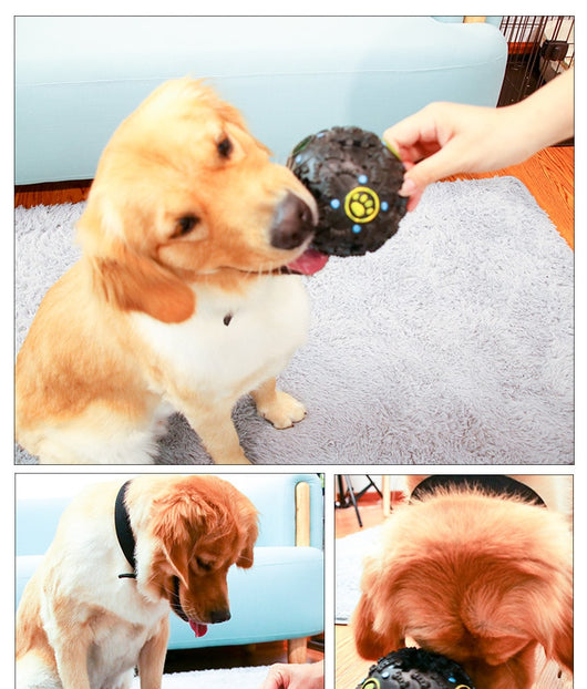 Juguete Interactivo de Entrenamiento para Perros con Dispensador de Premios y Sonido - Image 8