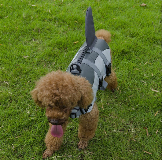 Chaleco Salvavidas para Mascotas - Ropa de Baño Protectora - Image 10
