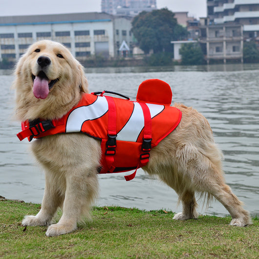 Chaleco Salvavidas para Mascotas - Ropa de Baño Protectora - Image 11