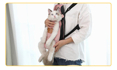 Beige quilted pet carrier backpack with black adjustable straps, featuring leg and tail openings for small cats or dogs. - Image 12