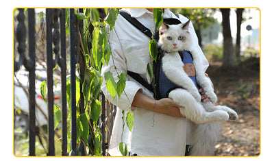 Beige quilted pet carrier backpack with black adjustable straps, featuring leg and tail openings for small cats or dogs. - Image 15
