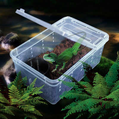 Caja de Alimentación Transparente para Reptiles - Image 7