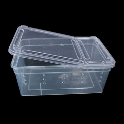 Caja de Alimentación Transparente para Reptiles - Image 10