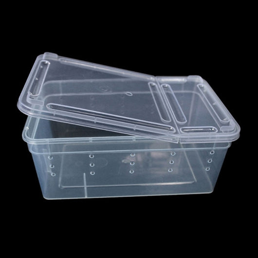 Caja de Alimentación Transparente para Reptiles - Image 10