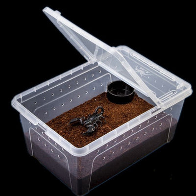 Caja de Alimentación Transparente para Reptiles - Image 11