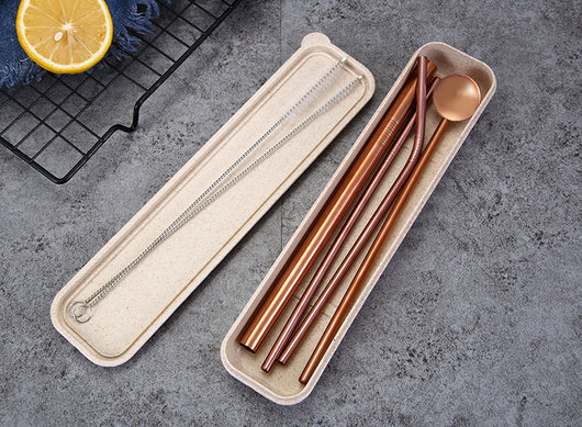 Set de 6 Pajitas de Acero Inoxidable Reutilizables - Image 12
