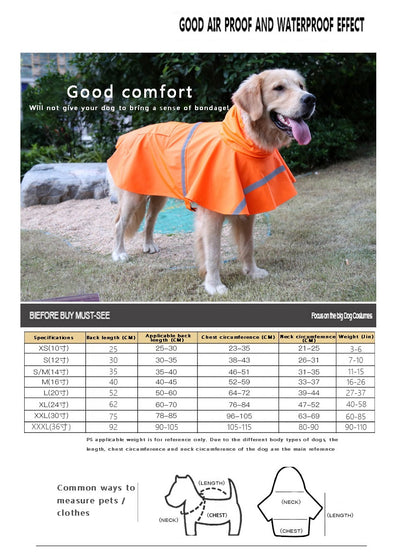 Impermeable Reflectante para Perros con Visibilidad Nocturna - Image 11