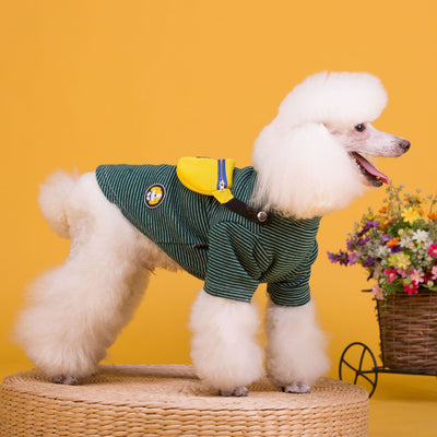 Disfraz de Perrito Teddy a Rayas para Mascotas - Image 9