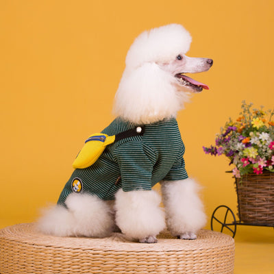 Disfraz de Perrito Teddy a Rayas para Mascotas - Image 10