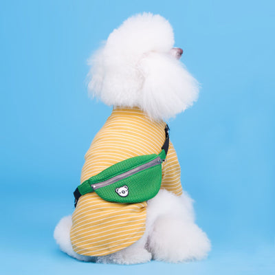 Disfraz de Perrito Teddy a Rayas para Mascotas - Image 13