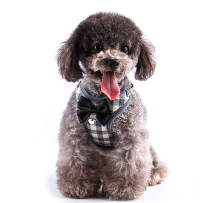 Arnés de pecho para perros pequeños - Image 8