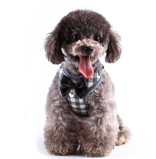 Arnés de pecho para perros pequeños - Image 8