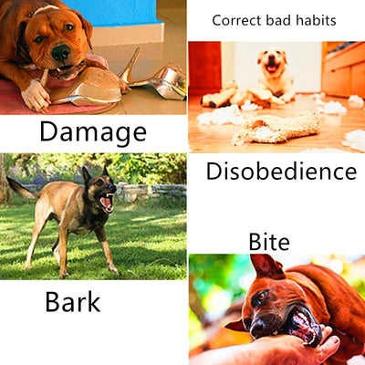 Dispositivo Ultrasónico para Adiestramiento Canino - Image 14