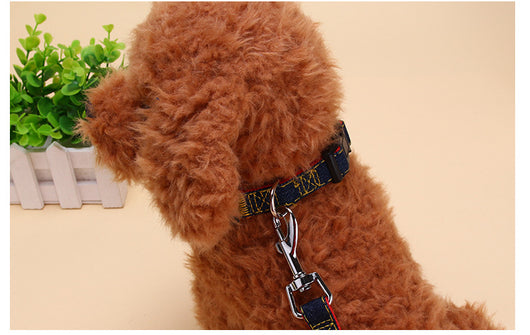 Collar Vaquero de Tracción para Perros con Cadena - Image 12