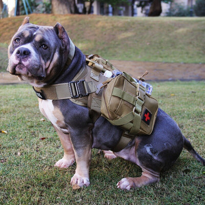 Ropa Táctica para Perros Grandes - Protección y Estilo - Image 8