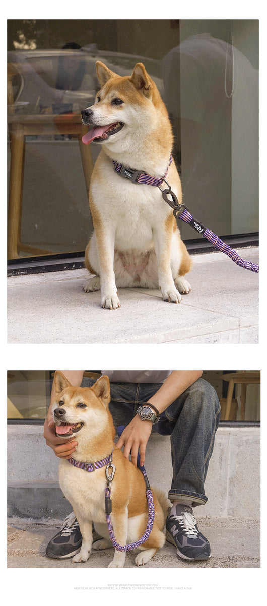 Collar de Tracción para Perros - Image 13