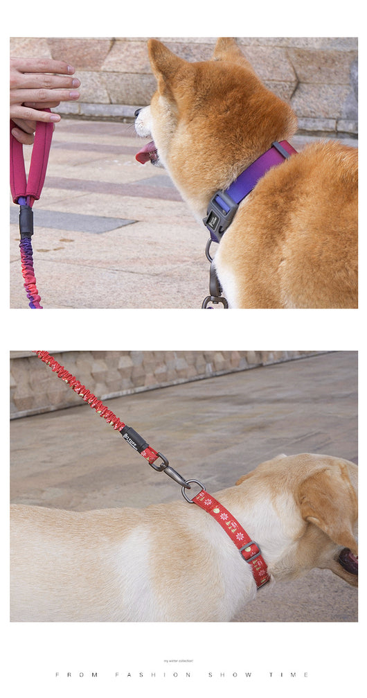 Collar de Tracción para Perros - Image 14