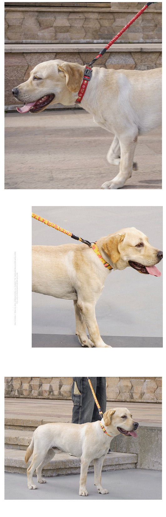 Collar de Tracción para Perros - Image 15