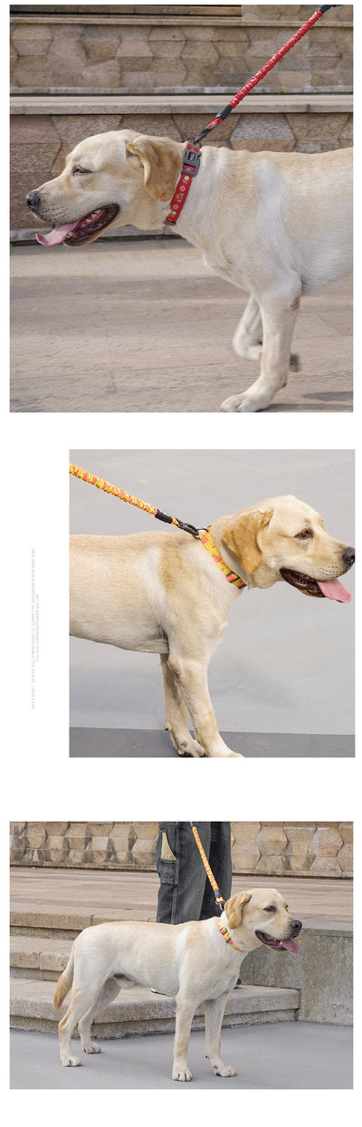 Collar de Tracción para Perros - Image 15