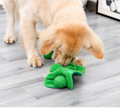 Juguete Masticable con Sonido para Aliviar el Estrés de tu Mascota - Image 16
