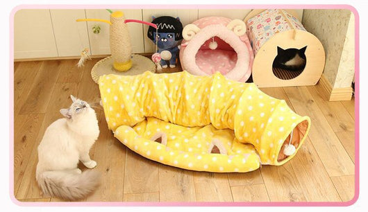 Túnel Enrollable para Gatos con Cama Integrada y Juguete Dragón - Image 9