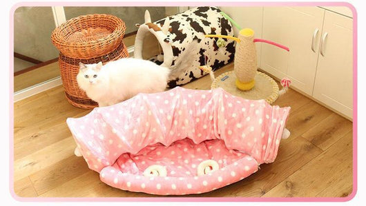 Túnel Enrollable para Gatos con Cama Integrada y Juguete Dragón - Image 11